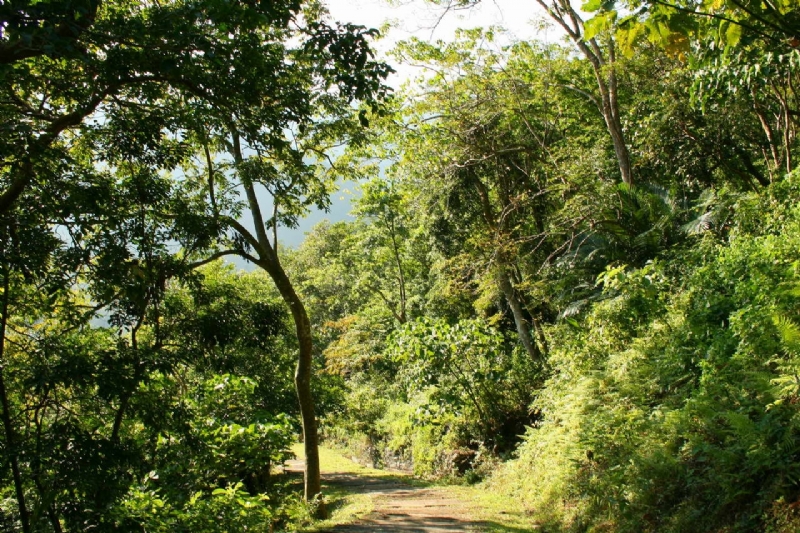 榕蔭步道南端景觀 攝影：老山羊部落格