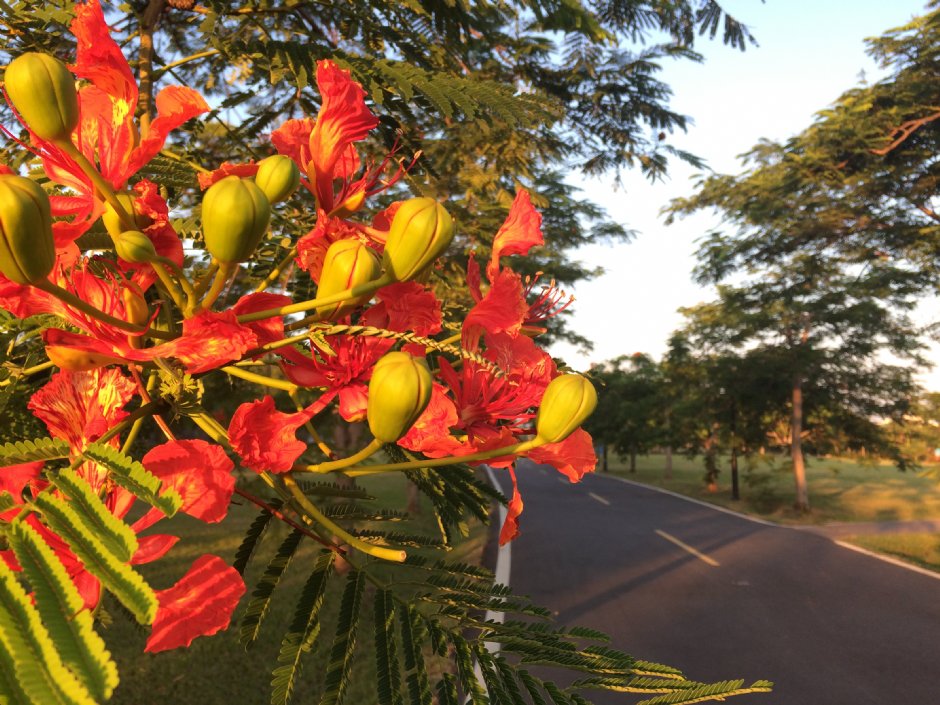 大漢溪河濱公園 攝影：Eva隨手拍