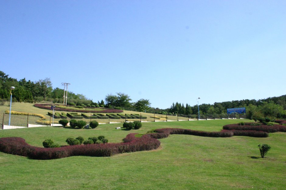 大連棒捶島 攝影：馮順