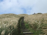 七星山主峰步道<br/> 攝影：Lu