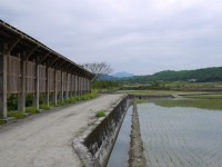 羅山自行車道<br/> 攝影：旅遊王攝影組