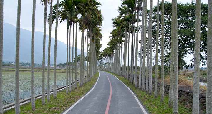 關山環鎮自行車道 攝影：R One