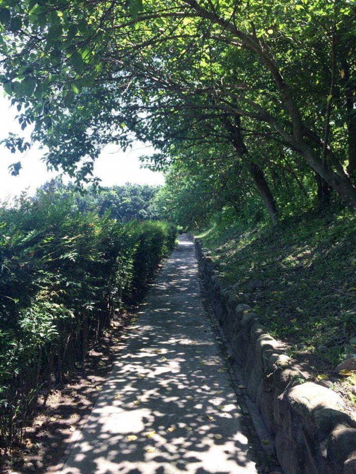 下淡水溪橋生態園區 攝影：Eva隨手拍