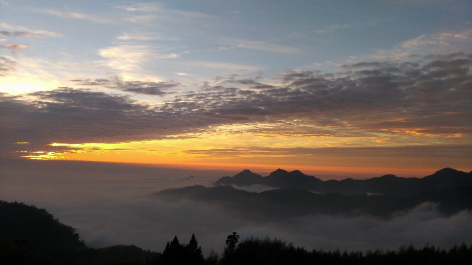 阿里山雲海 攝影：晏伶