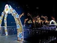 萬坪公園為每年新北歡樂耶誕城展區之一<br/> 攝影：Eva隨手拍 (資料照片)
