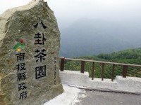八卦茶园<br/> 摄影：Eva隨手拍
