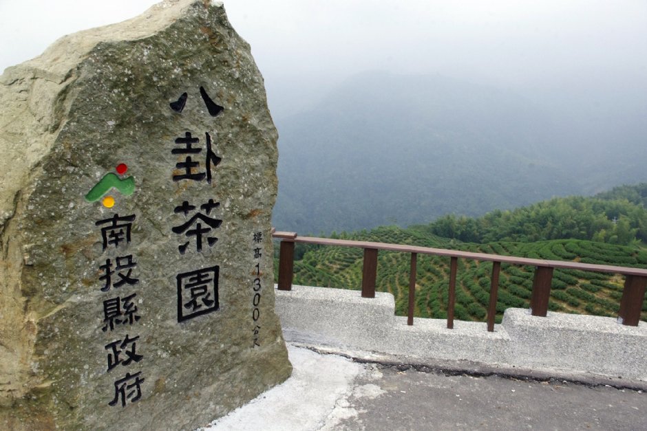 八卦茶园 摄影：Eva隨手拍