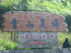 青山休閒農場 攝影：台東縣政府