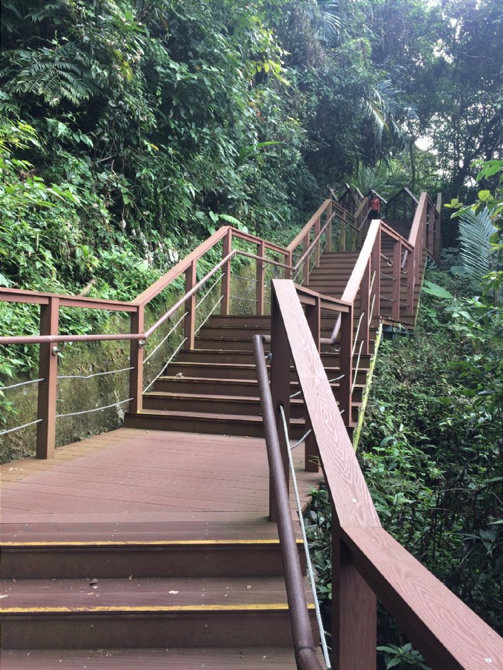 新溪口吊橋下步道 攝影：Eva隨手拍