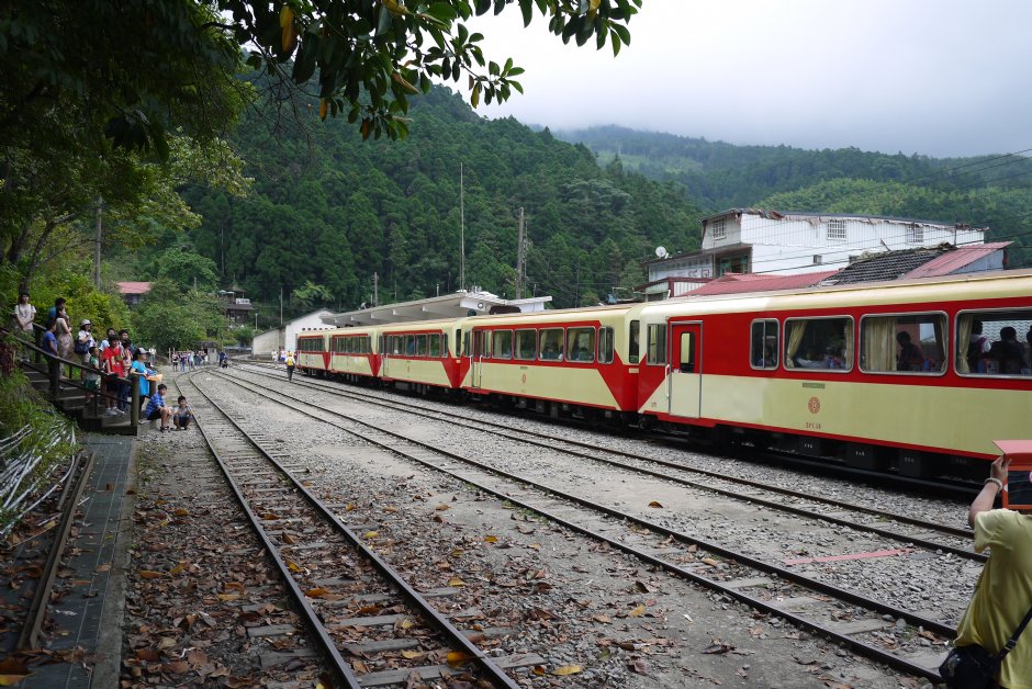 201407阿里山大井川姊妹鐵路列車 攝影：三個井