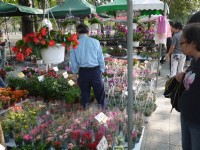 勞工公園假日花市<br/> 攝影：三井