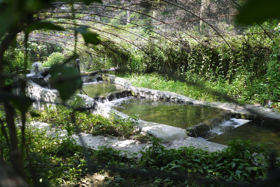 原生植物園 攝影：三井