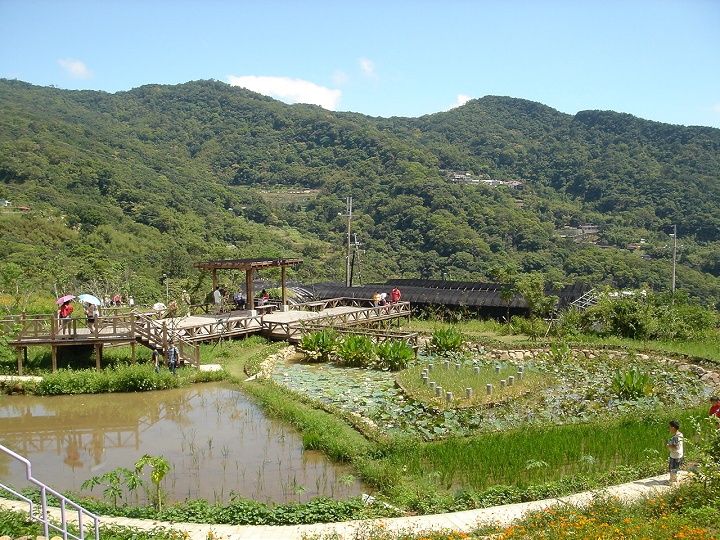后湖湿地-同心池 摄影：陳美吟