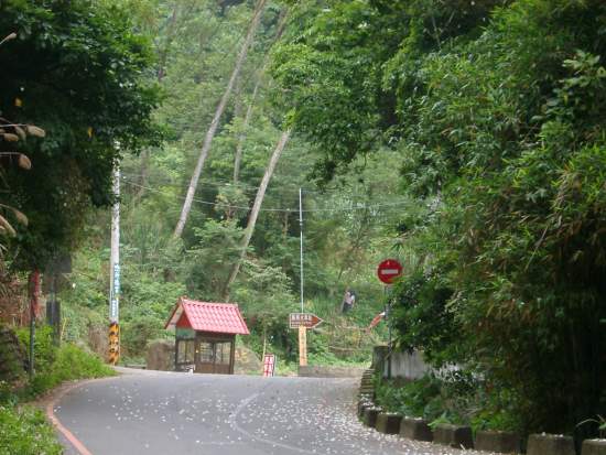 微風道路 攝影：老山羊