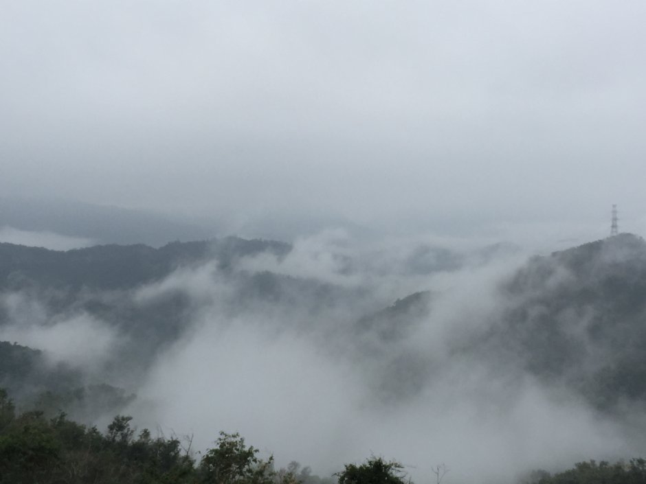 富東公路 攝影：旅遊王攝影組