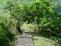 大石鼻山步道<br/> 攝影：Eva隨手拍