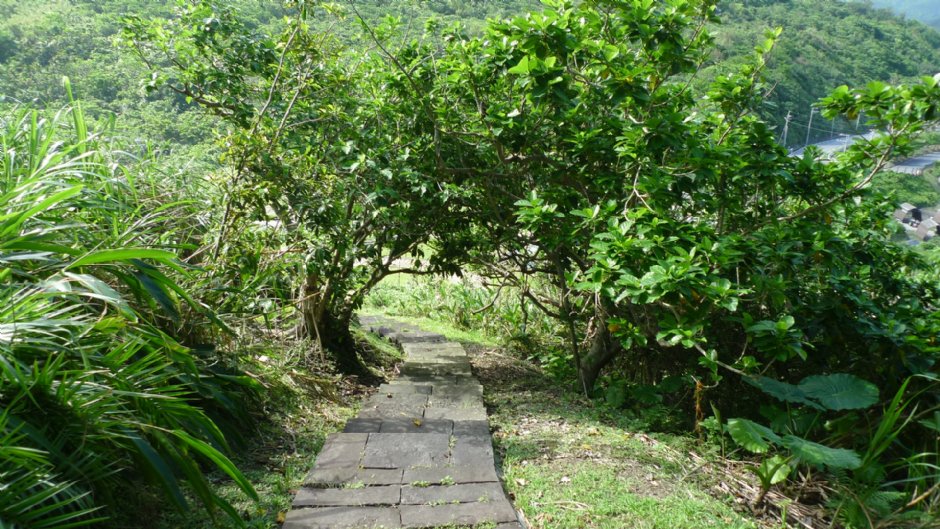 大石鼻山步道 攝影：Eva隨手拍