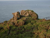 海岸特寫<br/> 攝影：老山羊部落格