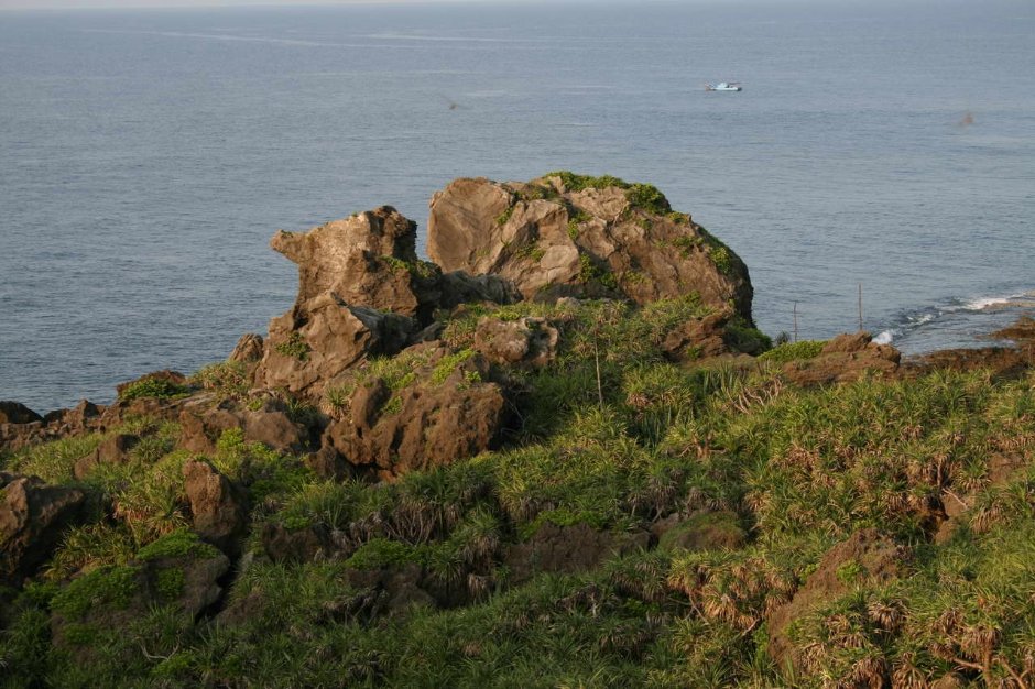 海岸特寫 攝影：老山羊部落格