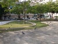 康樂公園<br/> 攝影：kavin
