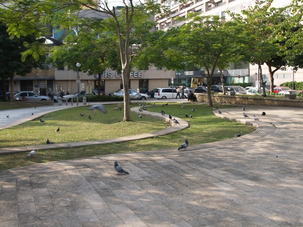 康樂公園 攝影：kavin