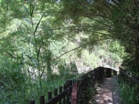 蝙蝠洞延伸步道<br/> 攝影：照片來源 | 臺中觀光旅遊網