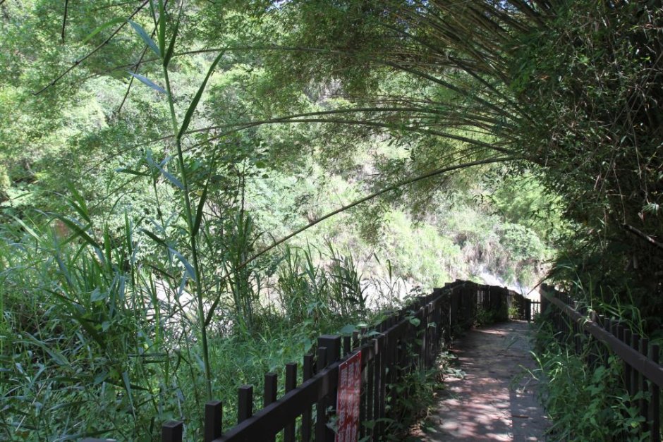 蝙蝠洞延伸步道 攝影：照片來源 | 臺中觀光旅遊網