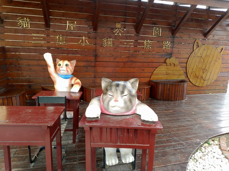 貓咪小學堂 攝影：meiyin