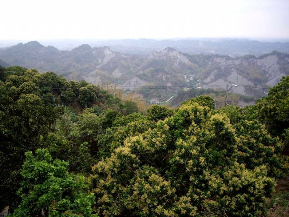 308高地-山巒層疊 攝影：老山羊資訊網