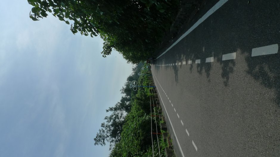 新屋綠色走廊自行車道 攝影：Eva隨手拍