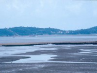 慈湖海濱10<br/> 攝影：劉家琛