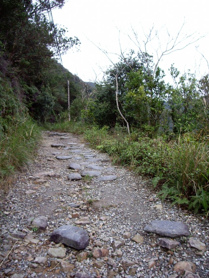 跑馬古道 攝影：Eva隨手拍