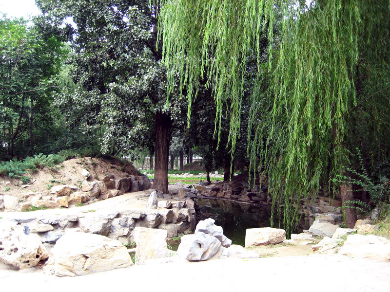 幽靜園景 攝影：方盛文