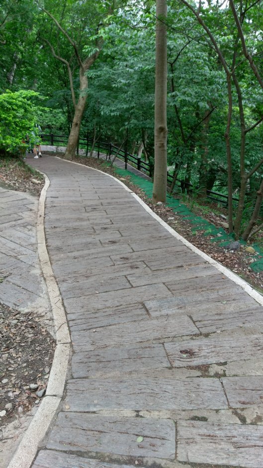 貓貍山公園 攝影：Eva隨手拍