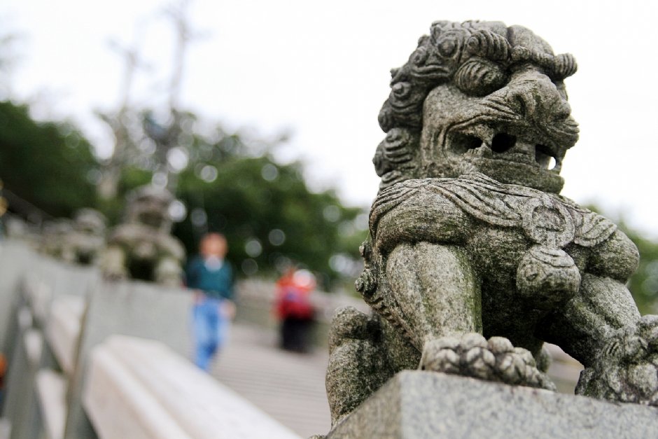 石獅 攝影：陳銘祥