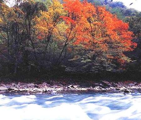 流不盡的山水情 攝影：四川旅遊信息網