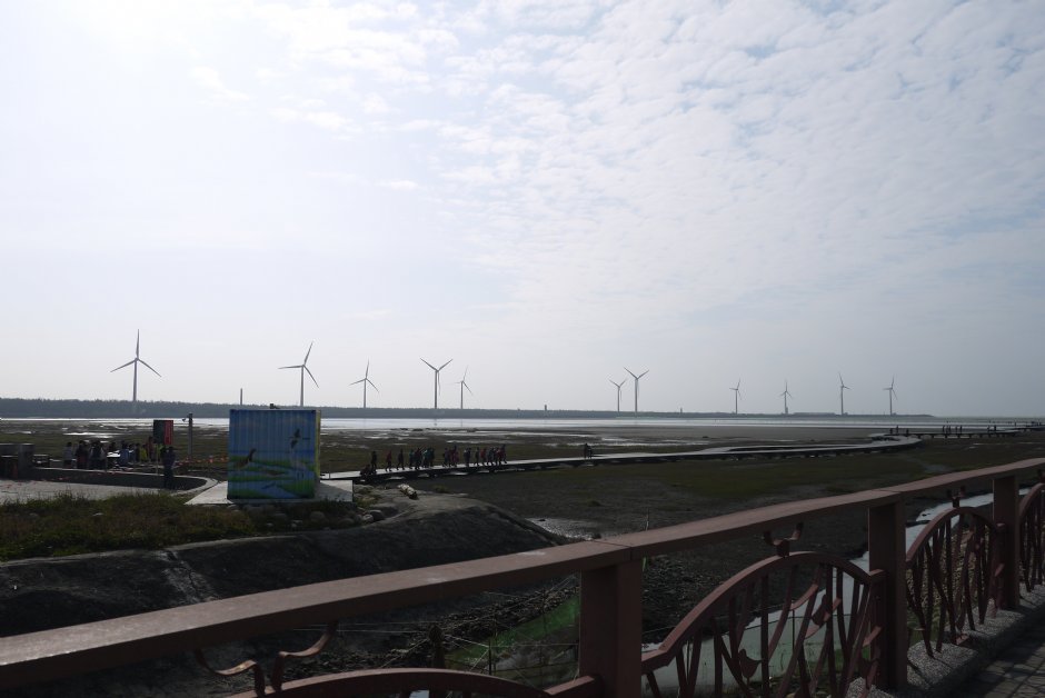 高美濕地2015 攝影：旅遊王攝影組