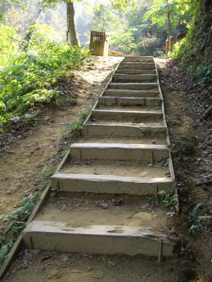 階梯步道 攝影：鄭瑄頤