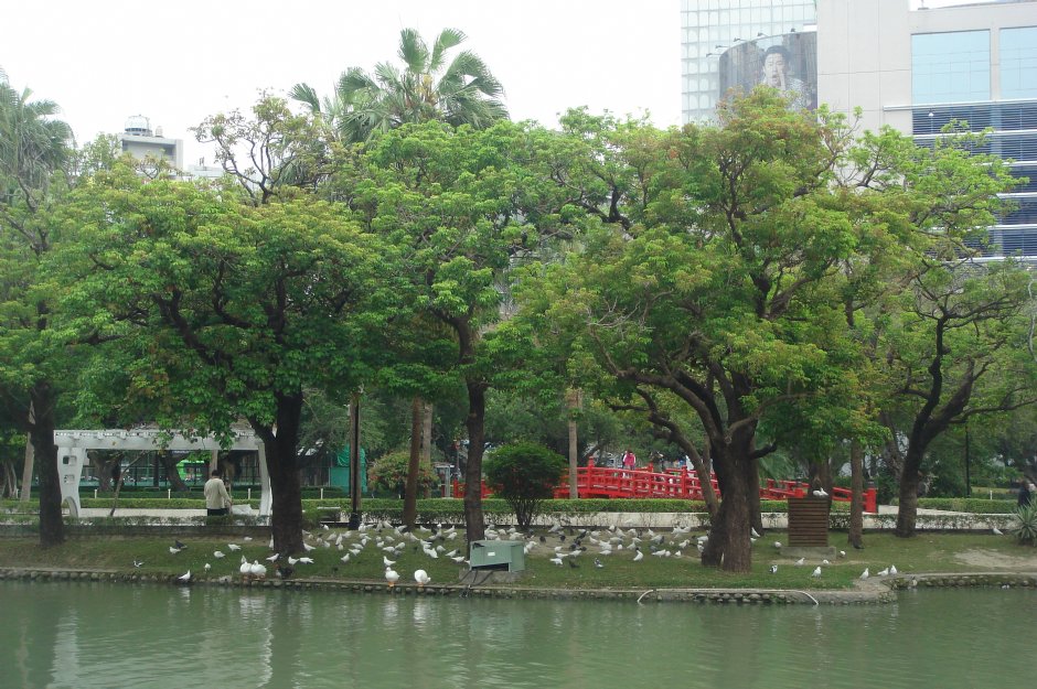 台中公園 攝影：meiyin