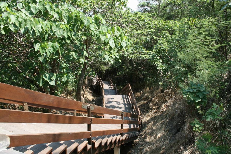 原木樓梯棧道 攝影：老山羊部落格
