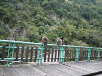 登仙橋休憩區<br/> 攝影：旅遊王攝影組
