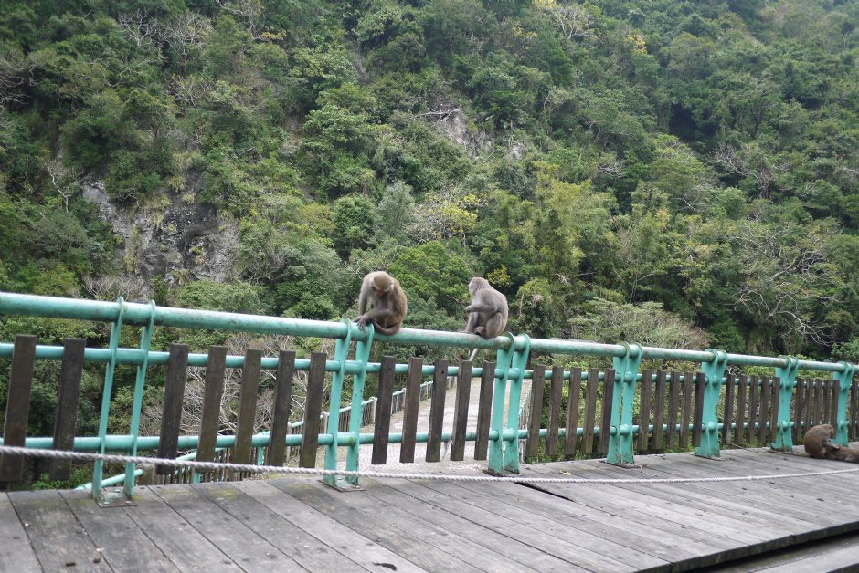 登仙橋休憩區 攝影：旅遊王攝影組