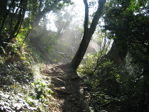 山中的一線曙光 攝影：自助旅行家族