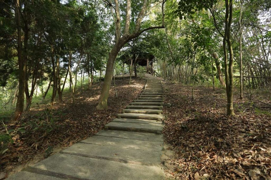 虎形山公園 攝影：照片來源_台南市觀旅局