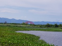 五十二甲湿地<br/> 摄影：Eva隨手拍