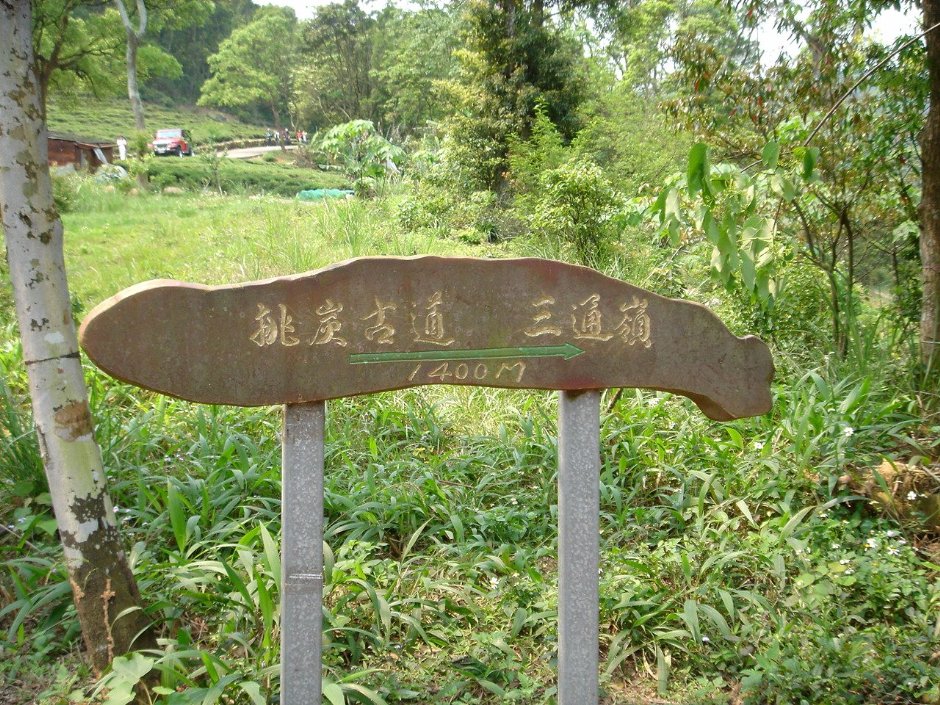 挑炭古道往三通嶺 攝影：陳美吟
