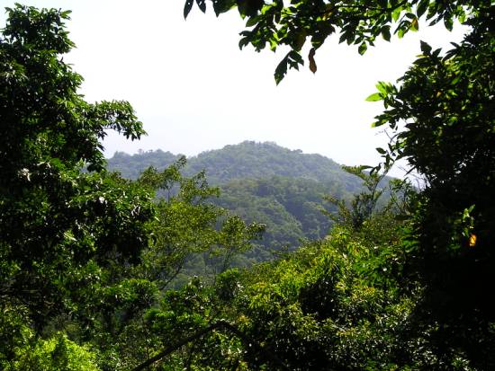砲台山 攝影：老山羊資訊網