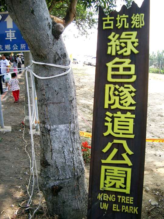 古坑綠色隧道 攝影：Eva隨手拍