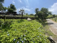 石牌縣界公園<br/> 攝影：Eva隨手拍