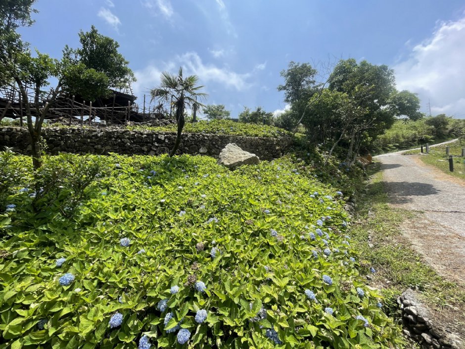 石牌縣界公園 攝影：Eva隨手拍
